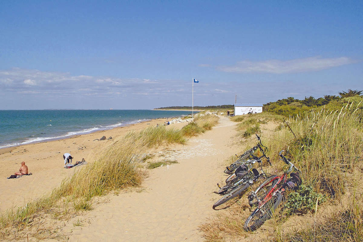 Plaża w okolicy kempingu Domaine d'Oléron