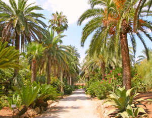 Ogród botaniczny na kempingu Rosslba le Palme